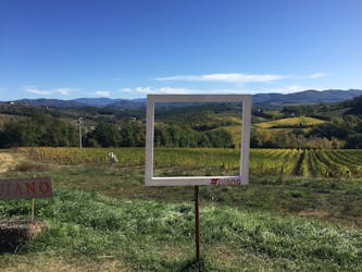 Tour del vino Chianti biologico da Firenze